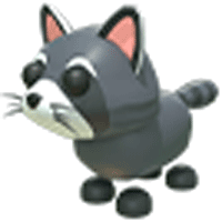 Raccoon - Uncommon from 23-Sep